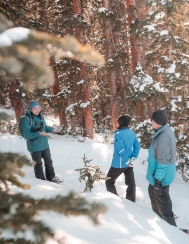 Guided ACES snowshoe tour in snowy forest