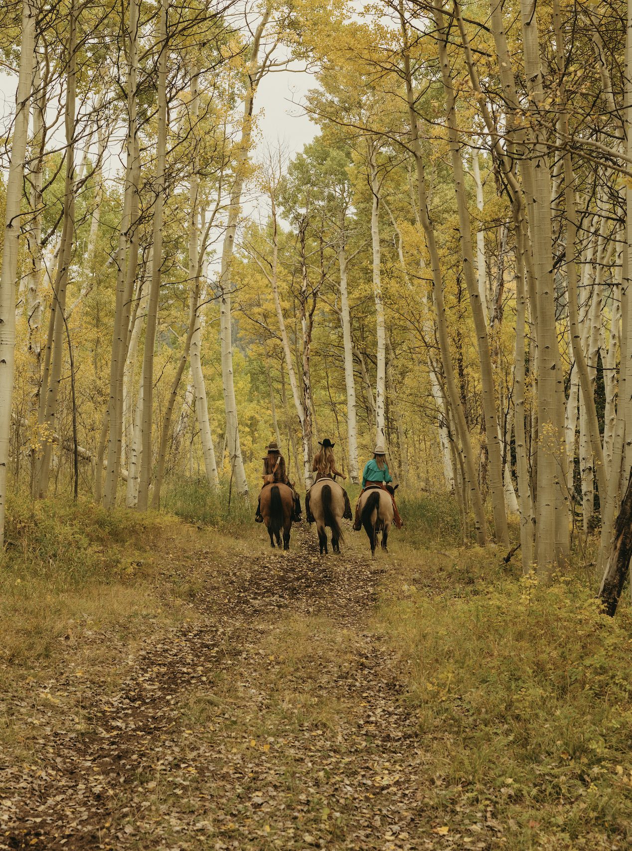 Horseback ride through golden aspens