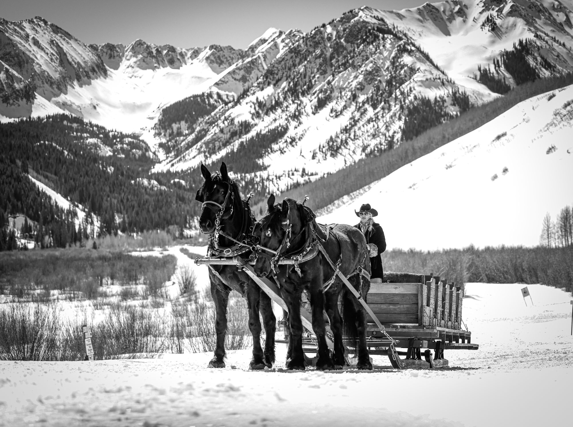 Horse-drawn sleigh ride below the Elk Mountains